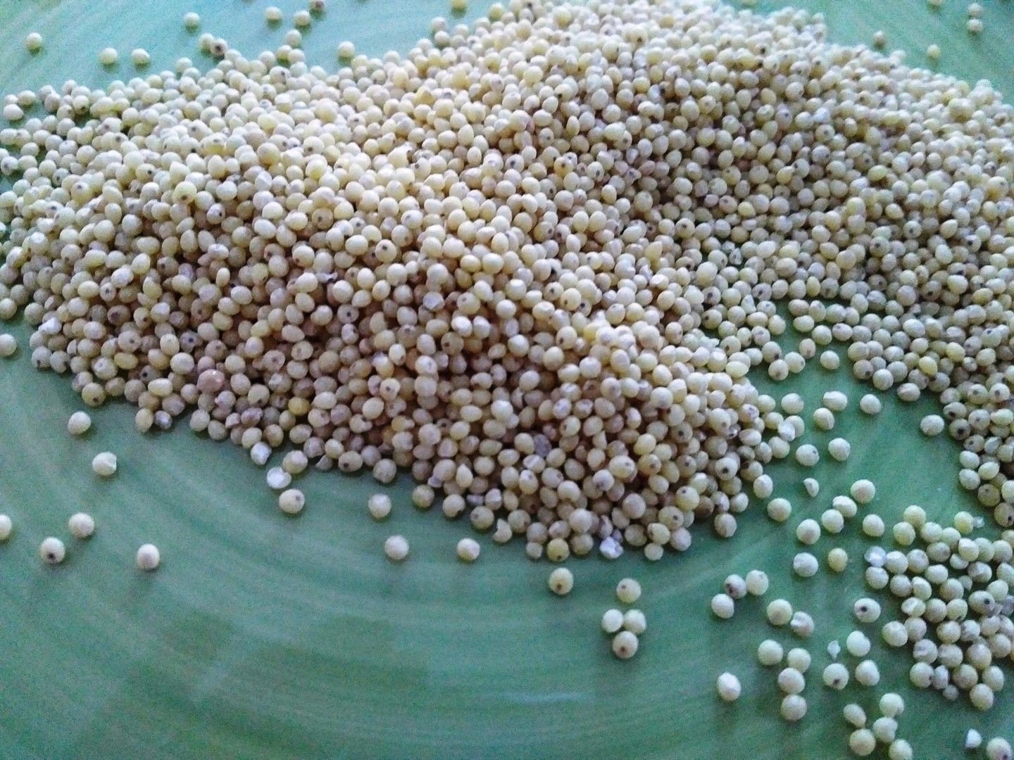 What is millet? - And why you should be eating it!
