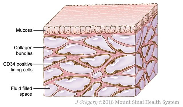 Are you taking care of the biggest organ in your body?